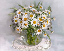 Без бренда «2KMA-0021» в Калуге