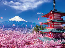 Без бренда «2KSB-7277» в Калуге