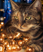 Без бренда «2KXSB-0678» в Калуге