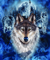 Без бренда «2KXSB-0687» в Калуге