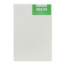 Без бренда «Коробка 80 шт.: Холст Две картинки на подрамнике 20X30» в Калуге