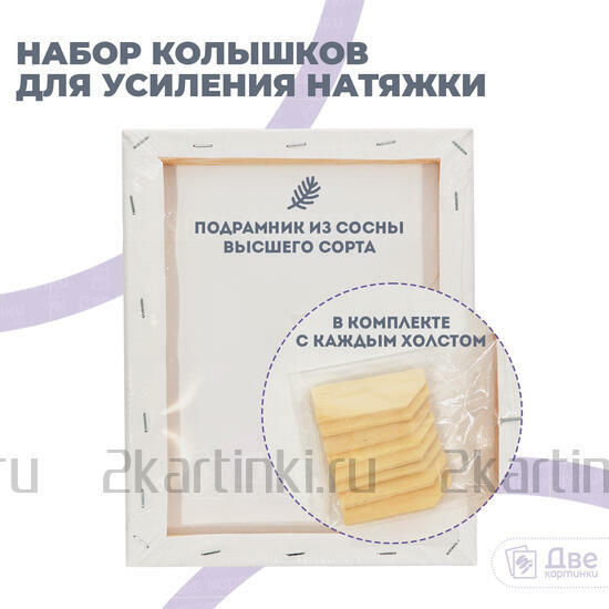 Тип товара Холст Две картинки на подрамнике 20X25