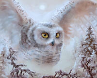 Без бренда «Полярная сова над лесом (20шт)» в Калуге