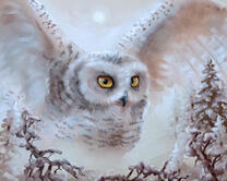 Без бренда «Полярная сова над лесом (20шт)» в Калуге