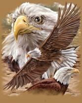 Без бренда «Коробка 20 шт: Орёл крупным планом» в Калуге