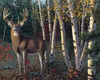 Без бренда «Олень у берез» в Калуге в интернет-магазине Без бренда «Олень у берез» в Калуге