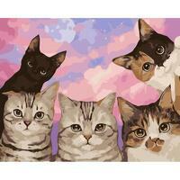 Без бренда «Такие разные котики» в Калуге в интернет-магазине  Без бренда «Такие разные котики» в Калуге