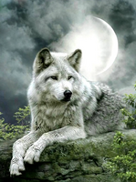 Без бренда «Коробка 25 шт. картин по номерам BOX25-GX21058» в Калуге