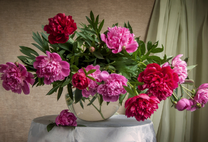 Коробка 25 шт. картин по номерам BOX25-GX37166