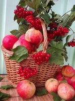 Без бренда «Коробка 25 шт. картин по номерам BOX25-GX5174» в Калуге