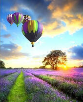 Лавандовое поле и воздушные шары