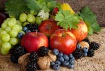 Без бренда «Фрукты, ягоды и орехи» в Калуге в интернет-магазине  Без бренда «Фрукты, ягоды и орехи» в Калуге