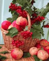 Без бренда «Плетёная корзина с калиной и яблоками» в Калуге