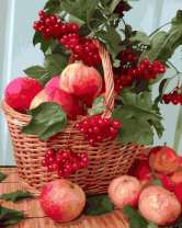 Без бренда «Плетёная корзина с калиной и яблоками» в Калуге в интернет-магазине  Без бренда «Плетёная корзина с калиной и яблоками» в Калуге