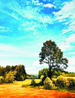 Без бренда «Осенний пейзаж с голубым небом» в Калуге в интернет-магазине  Без бренда «Осенний пейзаж с голубым небом» в Калуге