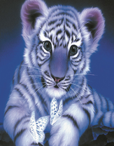 Белый тигреныш с бабочками