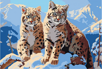 Два снежных барса на снегу на фоне гор