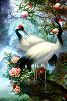 Без бренда «Коробка 25 шт. картин по номерам BOX25-GX29399» в Калуге в интернет-магазине  Без бренда «Коробка 25 шт. картин по номерам BOX25-GX29399» в Калуге