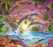 Дельфины и радуга в райской бухте