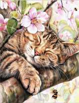 Без бренда «Волосатый котик спит на ветви яблони» в Калуге в интернет-магазине  Без бренда «Волосатый котик спит на ветви яблони» в Калуге