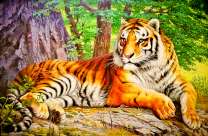 Большой тигр под огромным деревом